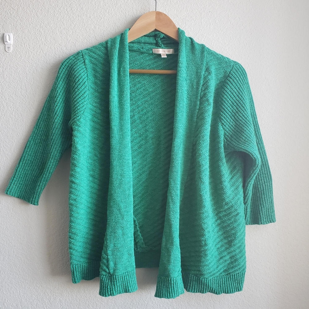 Skies are Blue Stitch Fix Green Sweater